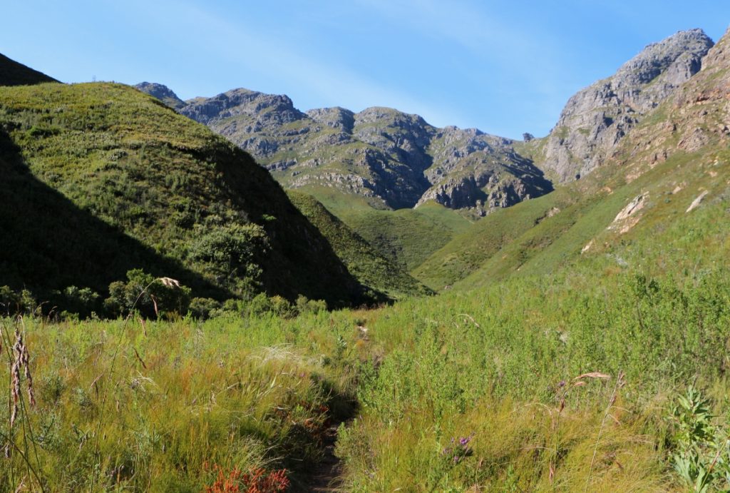 Vallée de Jonkershoek